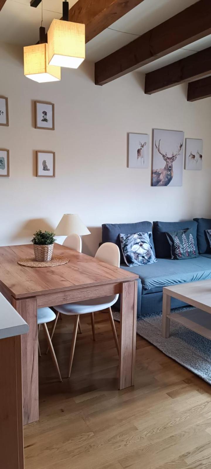 Appartement Duplex Familiar Izarraitz à Villanúa Extérieur photo